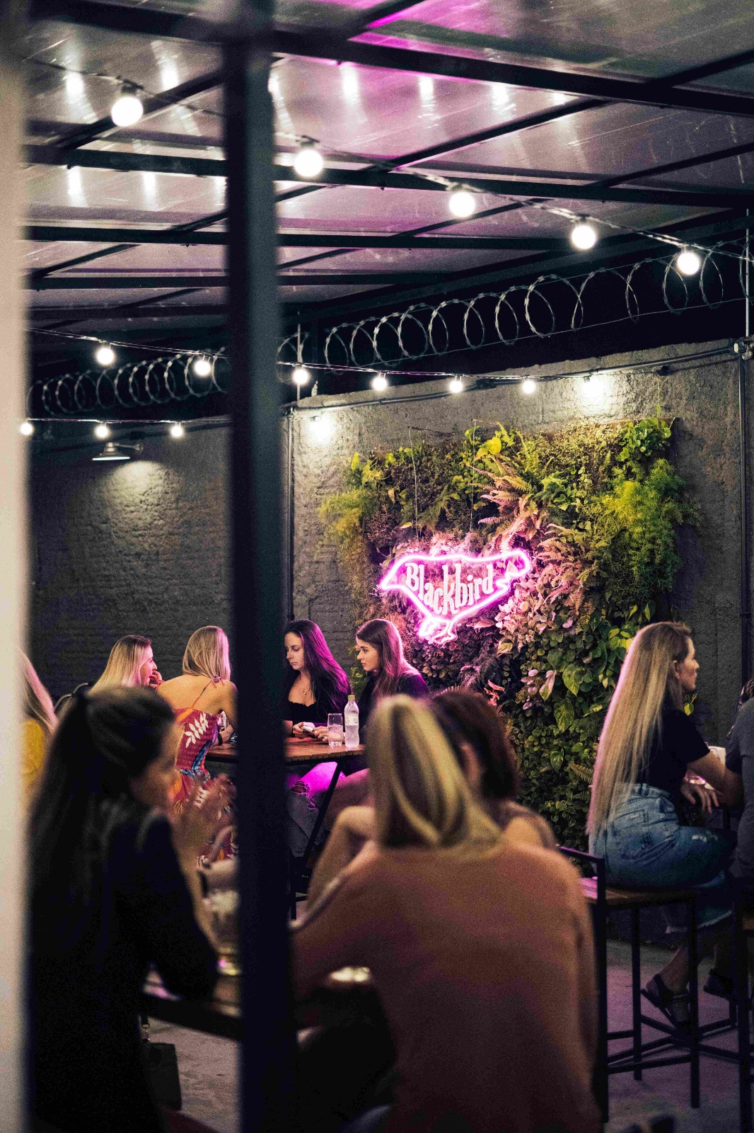 O restaurante Blackbird cheio